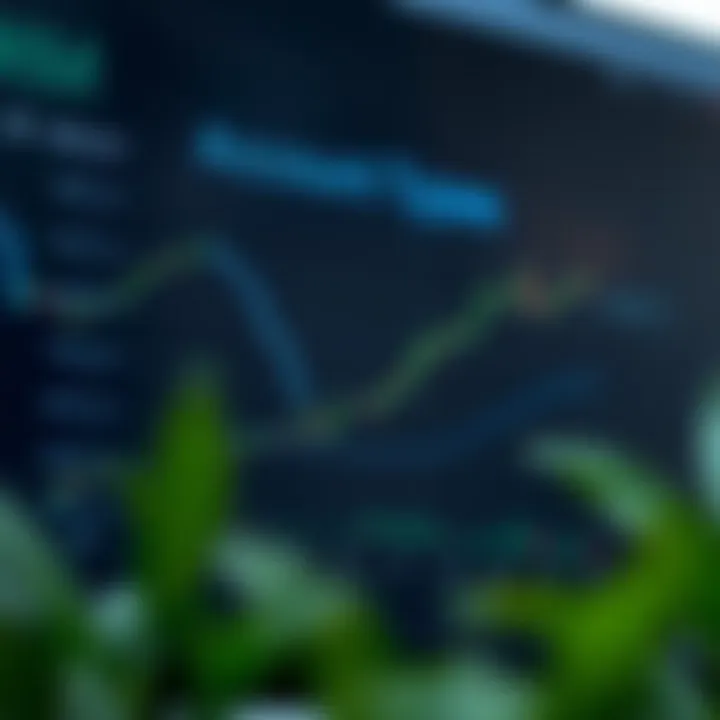 Graph showing different account types available for traders on XM platform